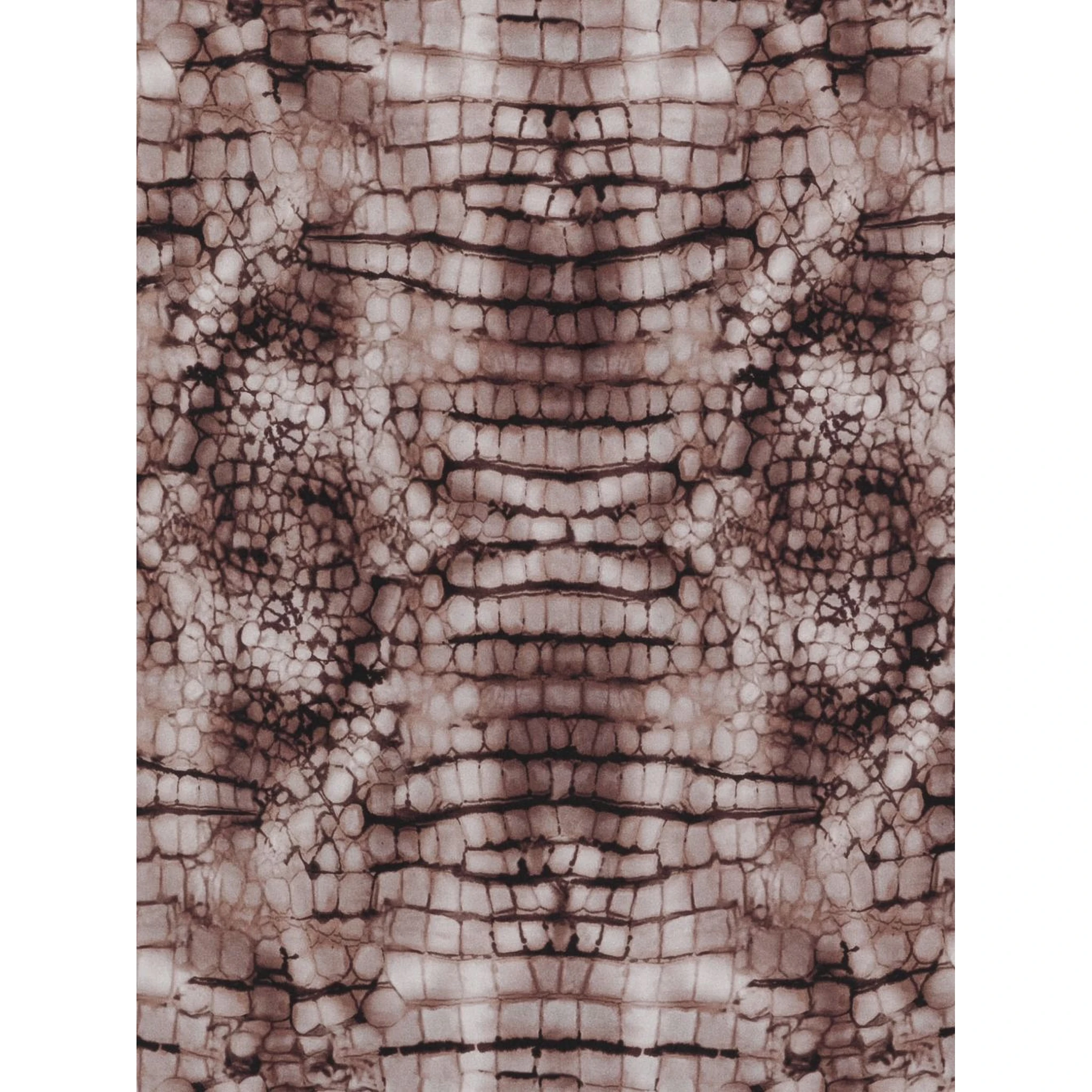 Elisabetta Franchi Scarfs Brown