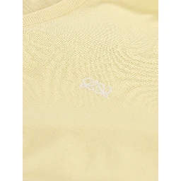 Loewe Sweaters