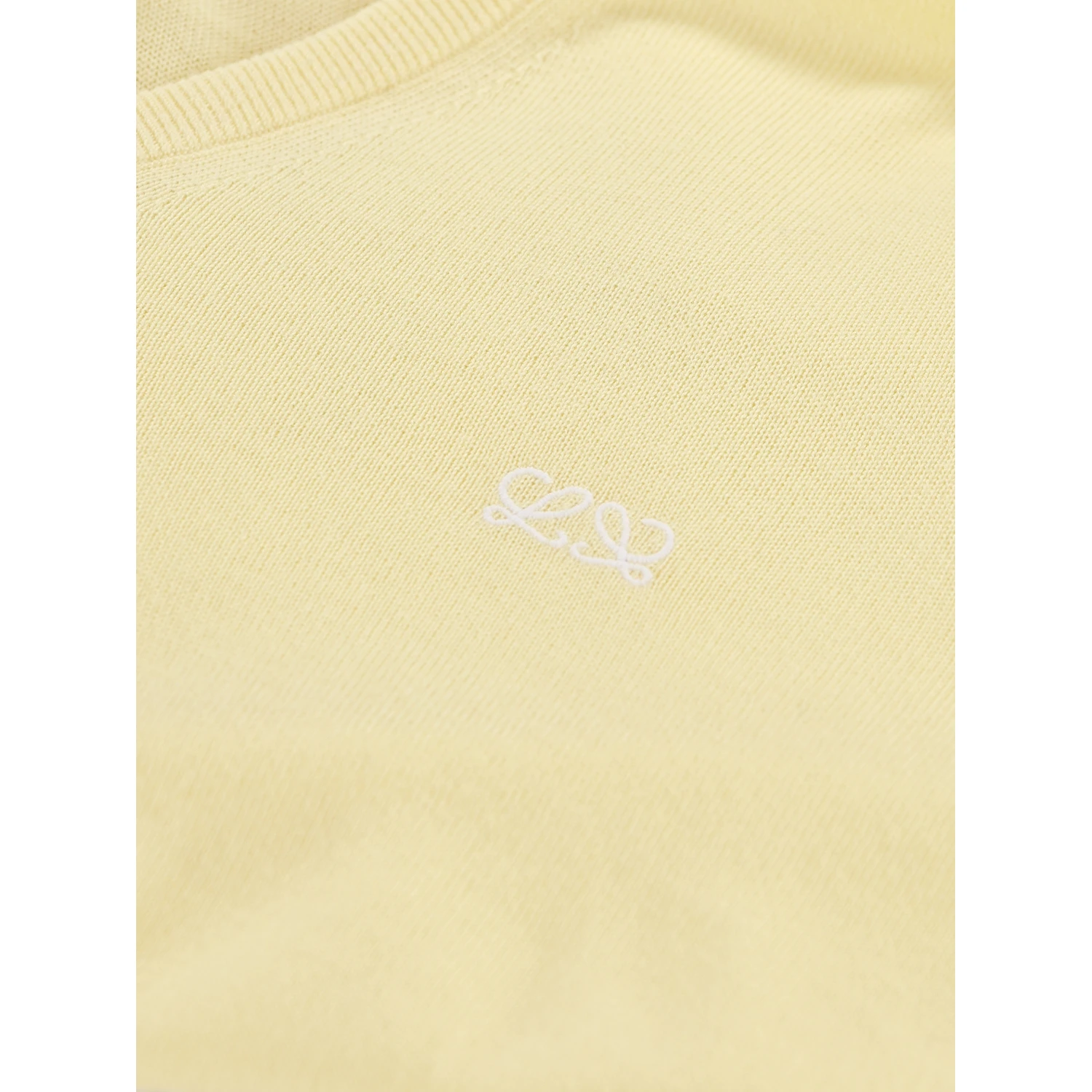Loewe Sweaters