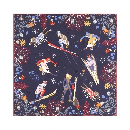 Salvatore Ferragamo Scarfs Blue