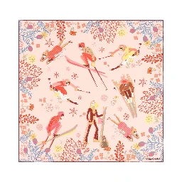 Salvatore Ferragamo Scarfs Pink