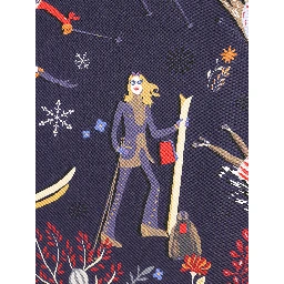 Salvatore Ferragamo Scarfs Blue