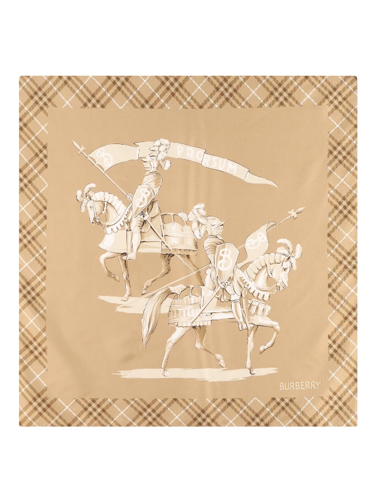 Burberry Scarfs