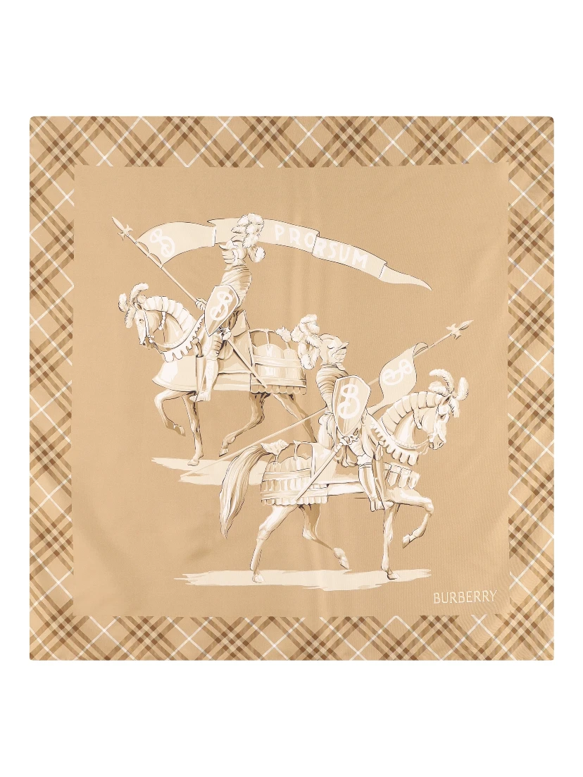 Burberry Scarfs