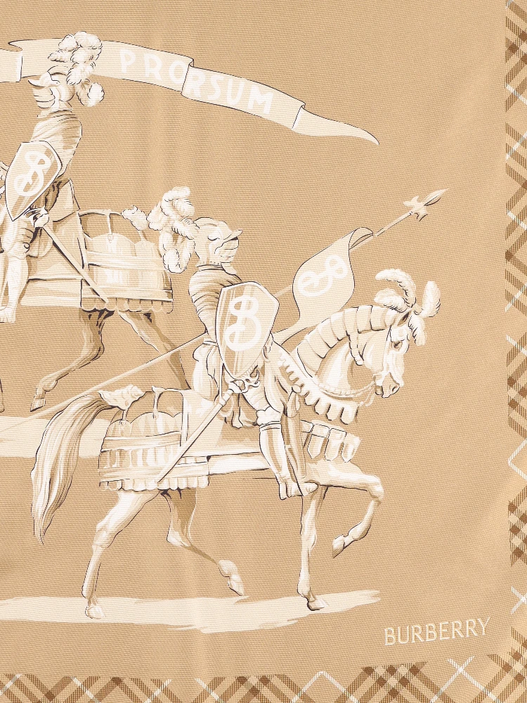 Burberry Scarfs alternative