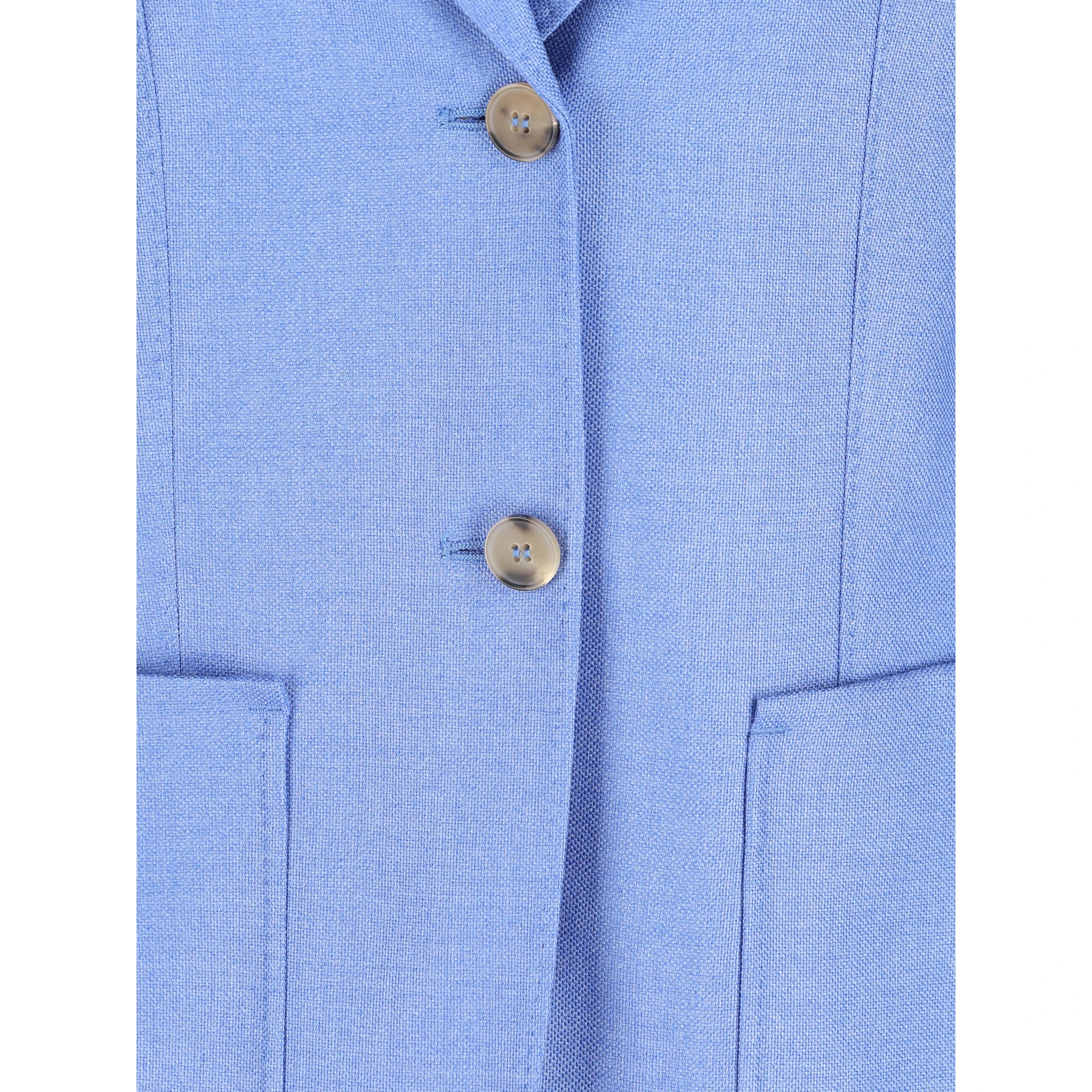 Max Mara Jackets Clear Blue
