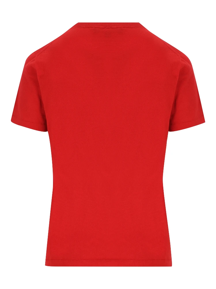 Loro Piana T-shirts and Polos alternative