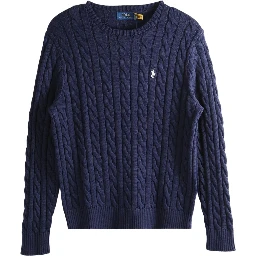 Polo Ralph Lauren Sweaters Blue