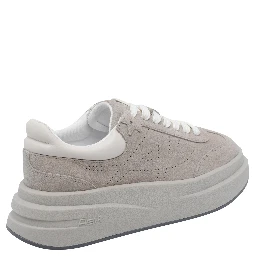 ASH Sneakers Grey