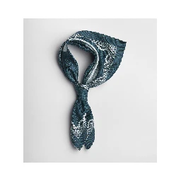 "Dior Médaillon 70" silk foulard