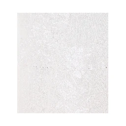 MAURIZIO Shirts White