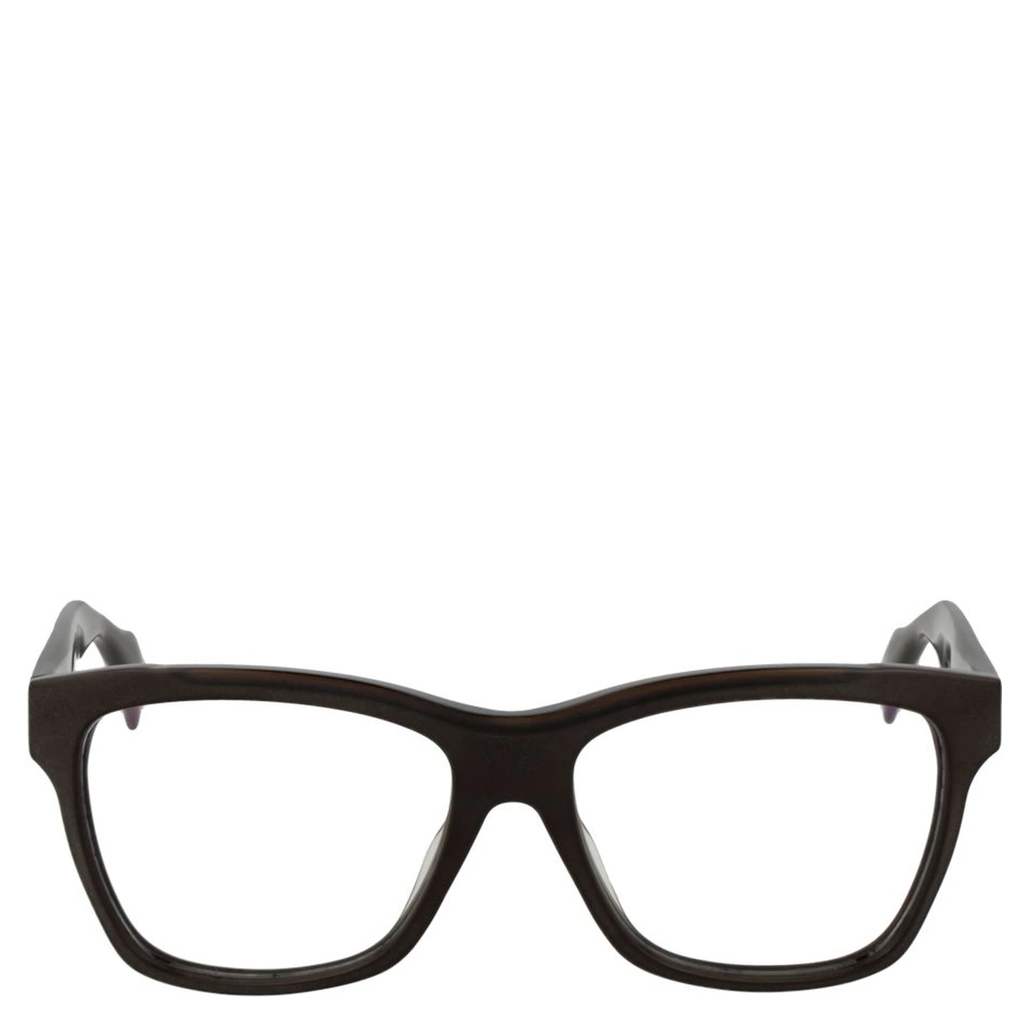 Brown Plastic Glasses (Frames)