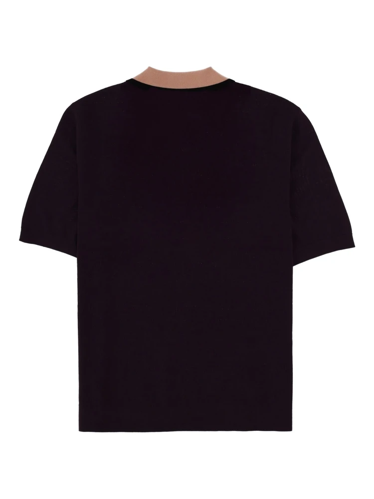 POLO "MOLAR" alternative
