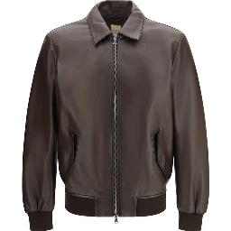 Brown Lamb Ovis Aries Aries Bomber