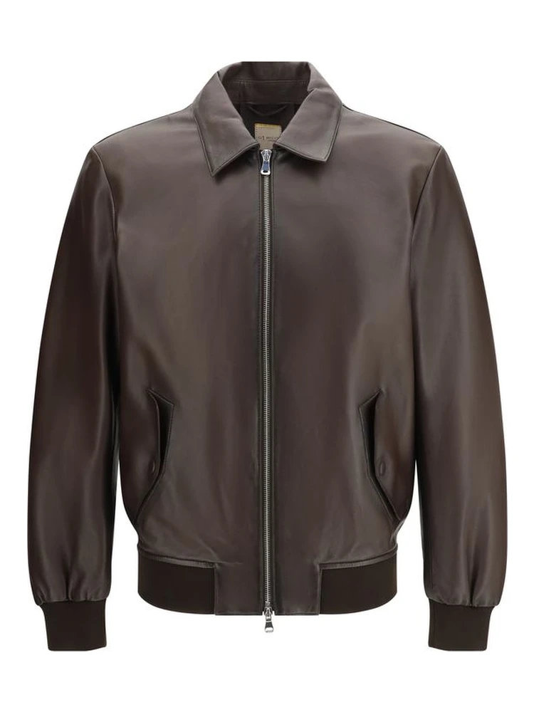 Brown Lamb Ovis Aries Aries Bomber