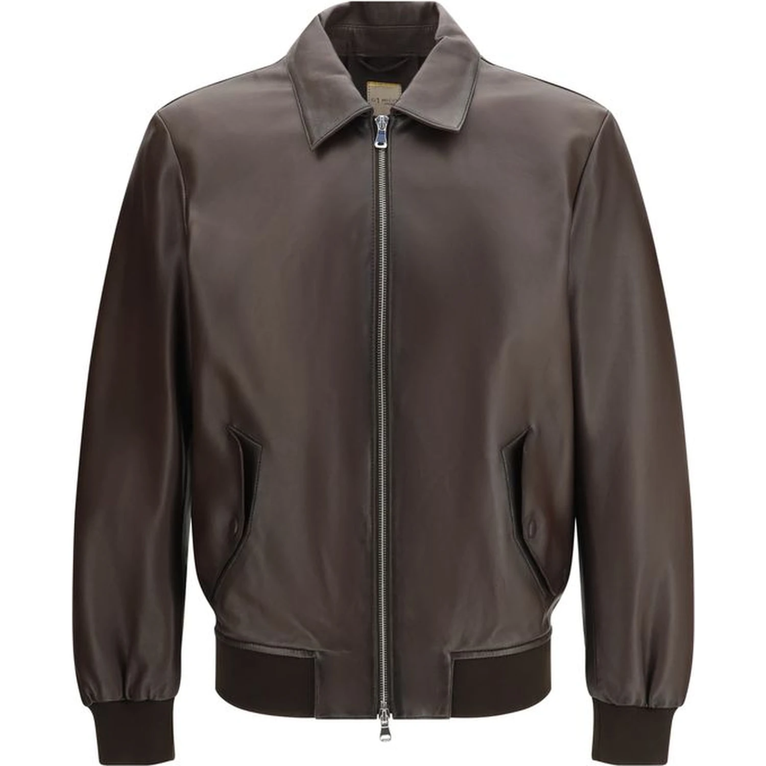 خروف بني Ovis Aries Aries Bomber