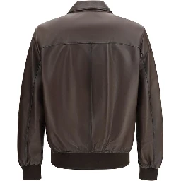 Brown Lamb Ovis Aries Aries Bomber