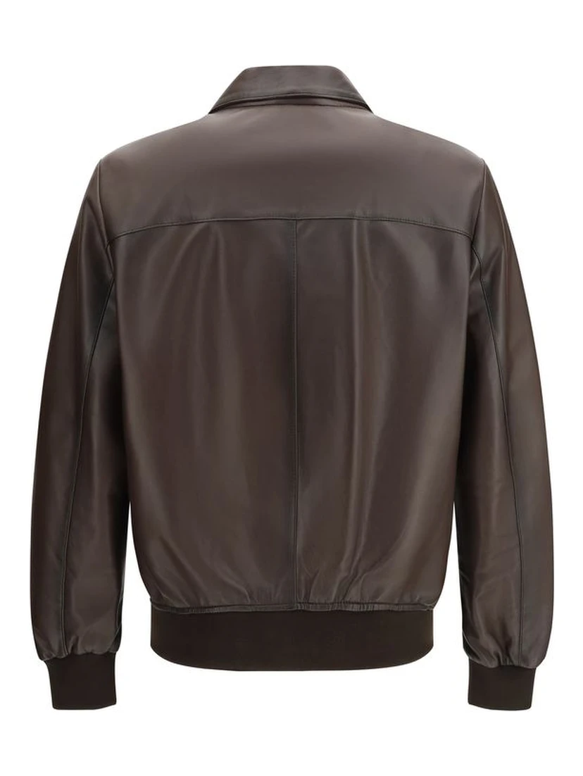 Brown Lamb Ovis Aries Aries Bomber