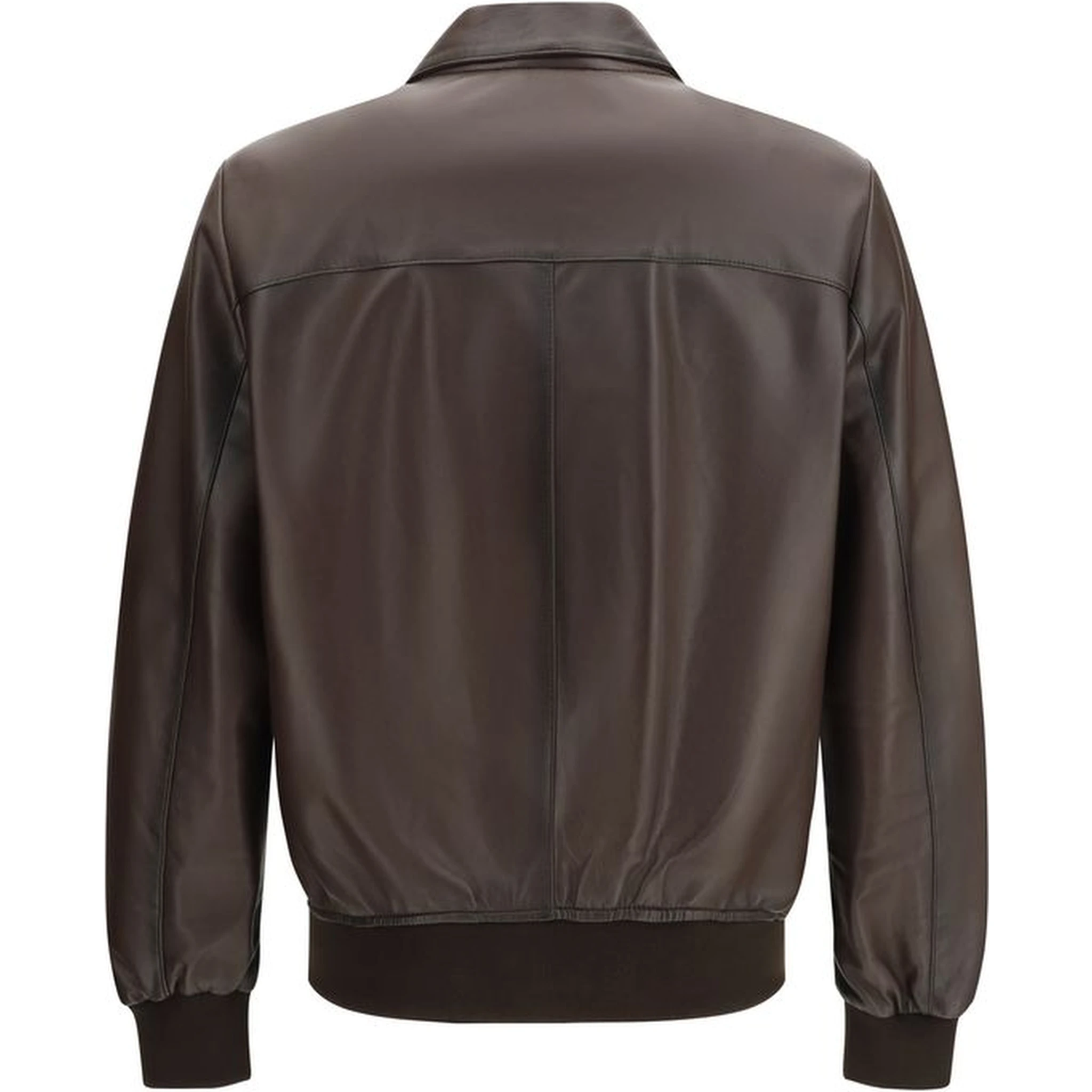 Brown Lamb Ovis Aries Aries Bomber