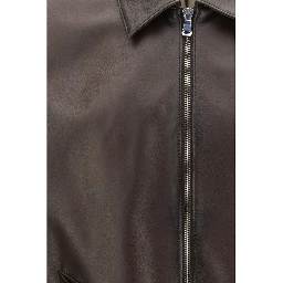 Brown Lamb Ovis Aries Aries Bomber