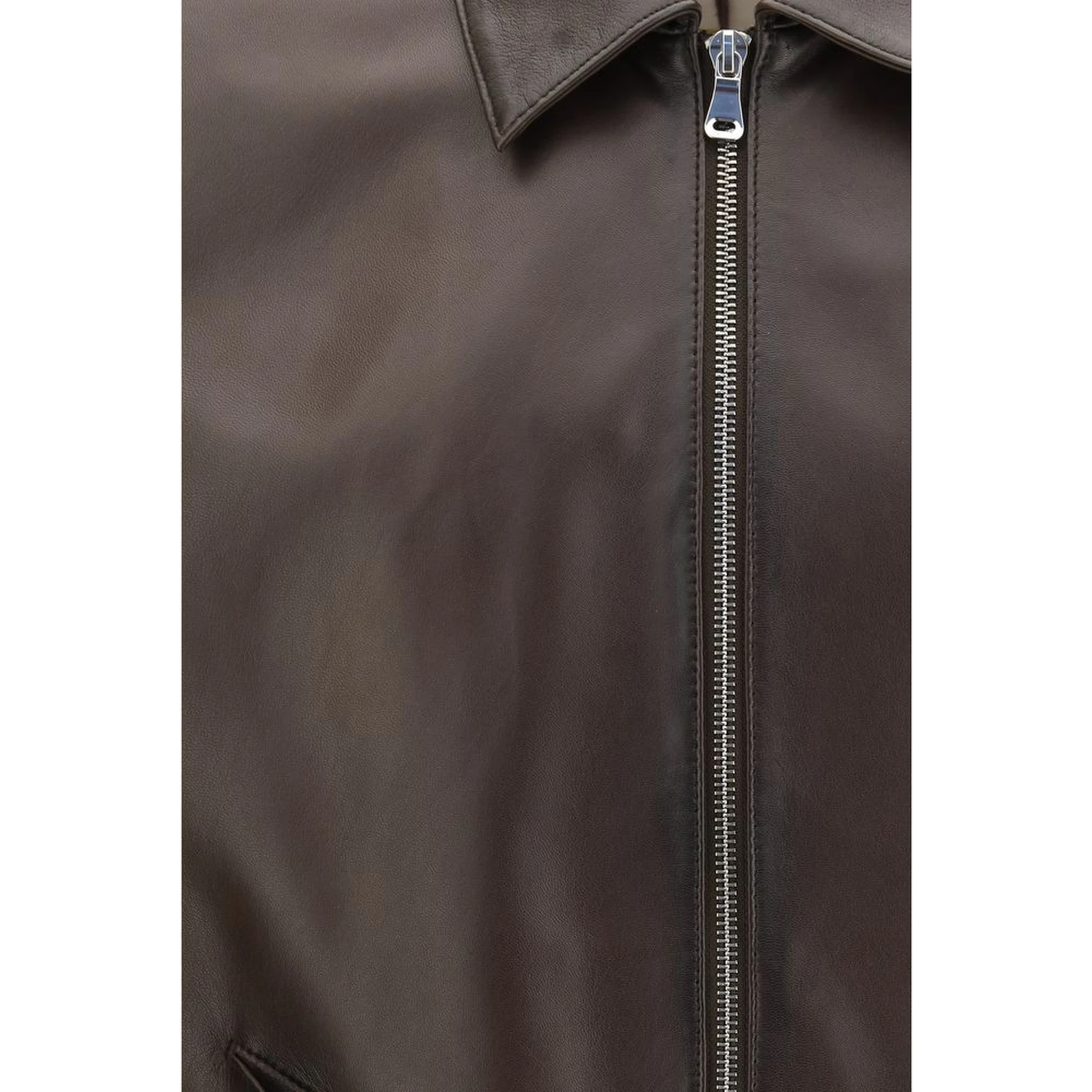 Brown Lamb Ovis Aries Aries Bomber