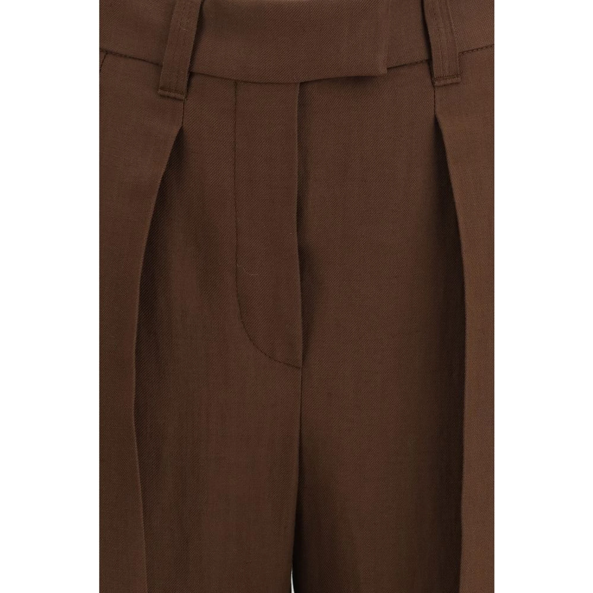 Brown Viscose Casual Pants