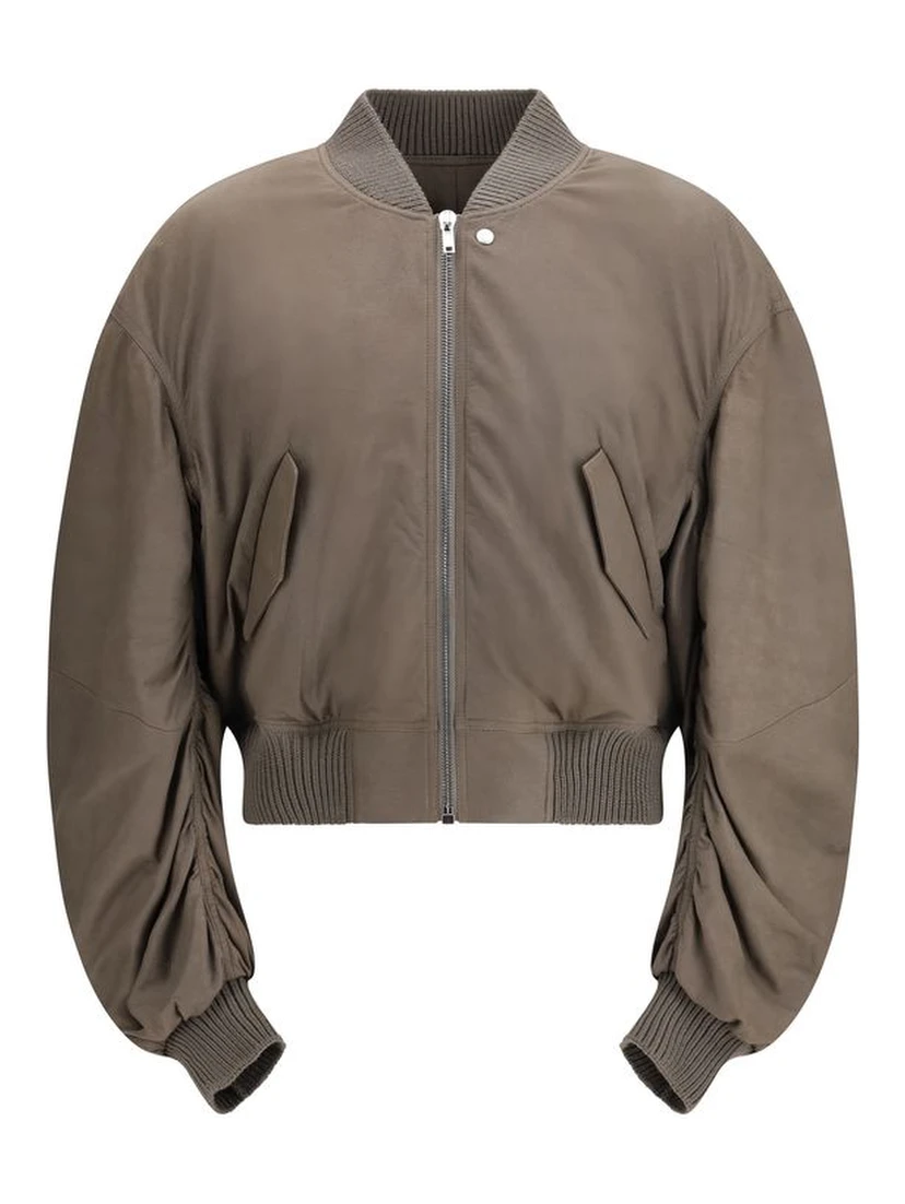 Gray Lamb Ovis Aries Aries Bomber