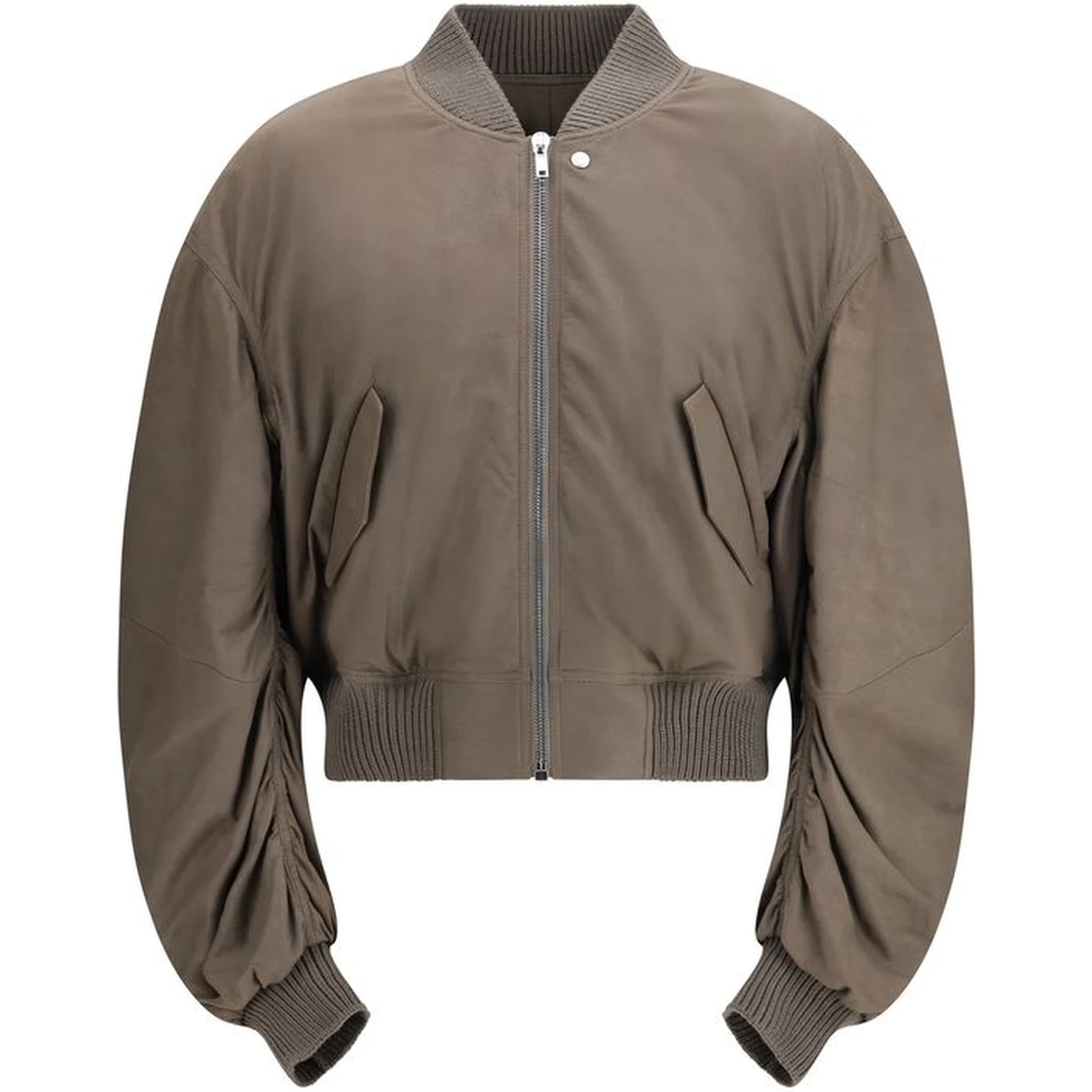 Gray Lamb Ovis Aries Aries Bomber