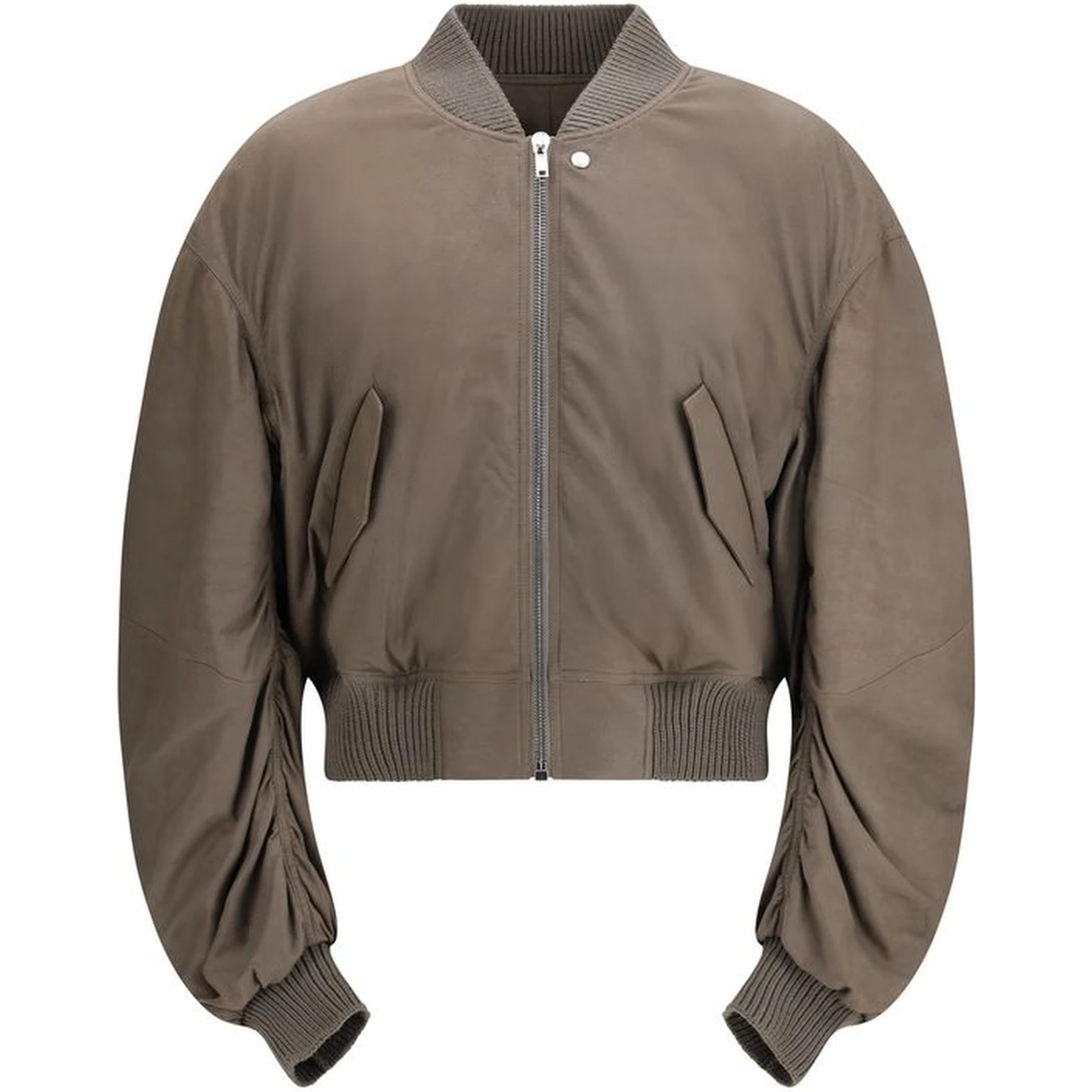 Gray Lamb Ovis Aries Aries Bomber