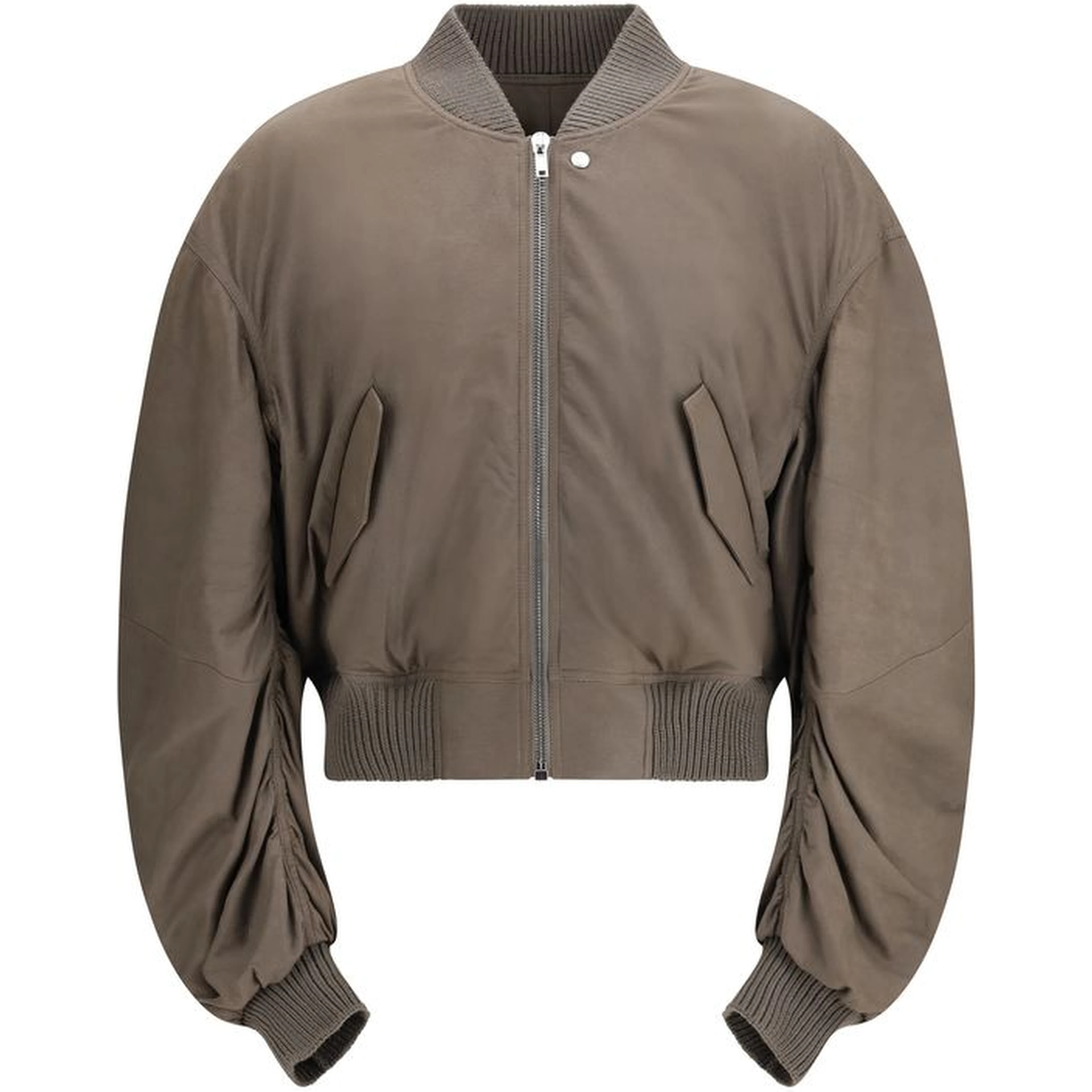 Gray Lamb Ovis Aries Aries Bomber