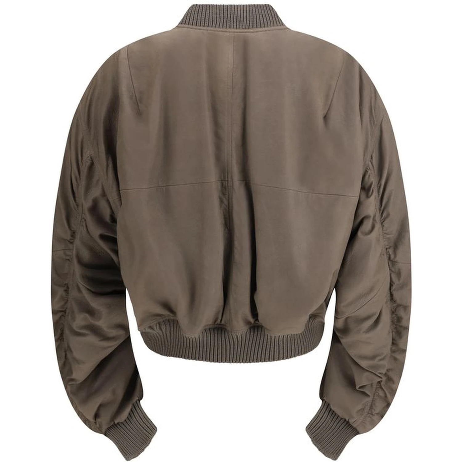 Gray Lamb Ovis Aries Aries Bomber