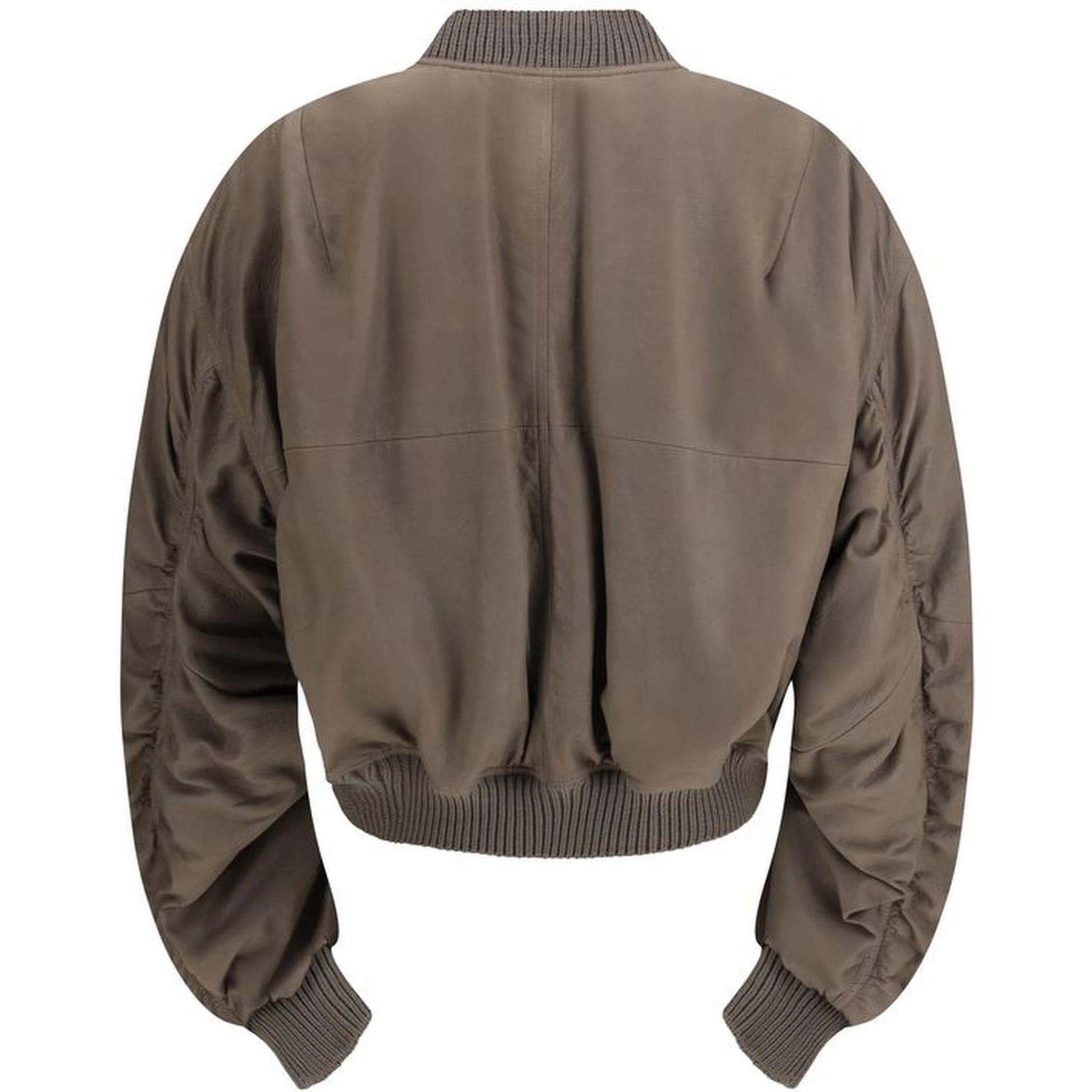 Gray Lamb Ovis Aries Aries Bomber