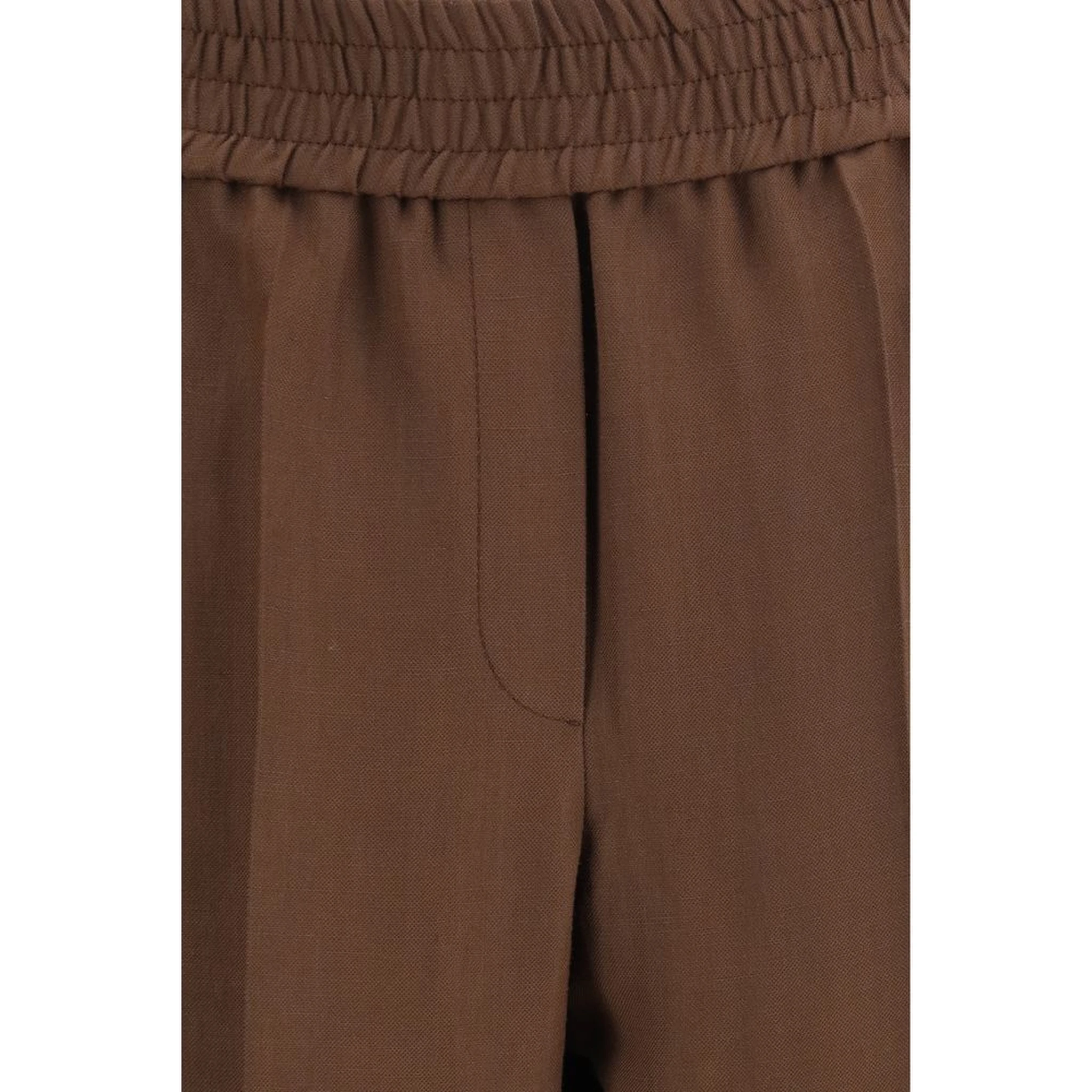 Brown Viscose Casual Pants