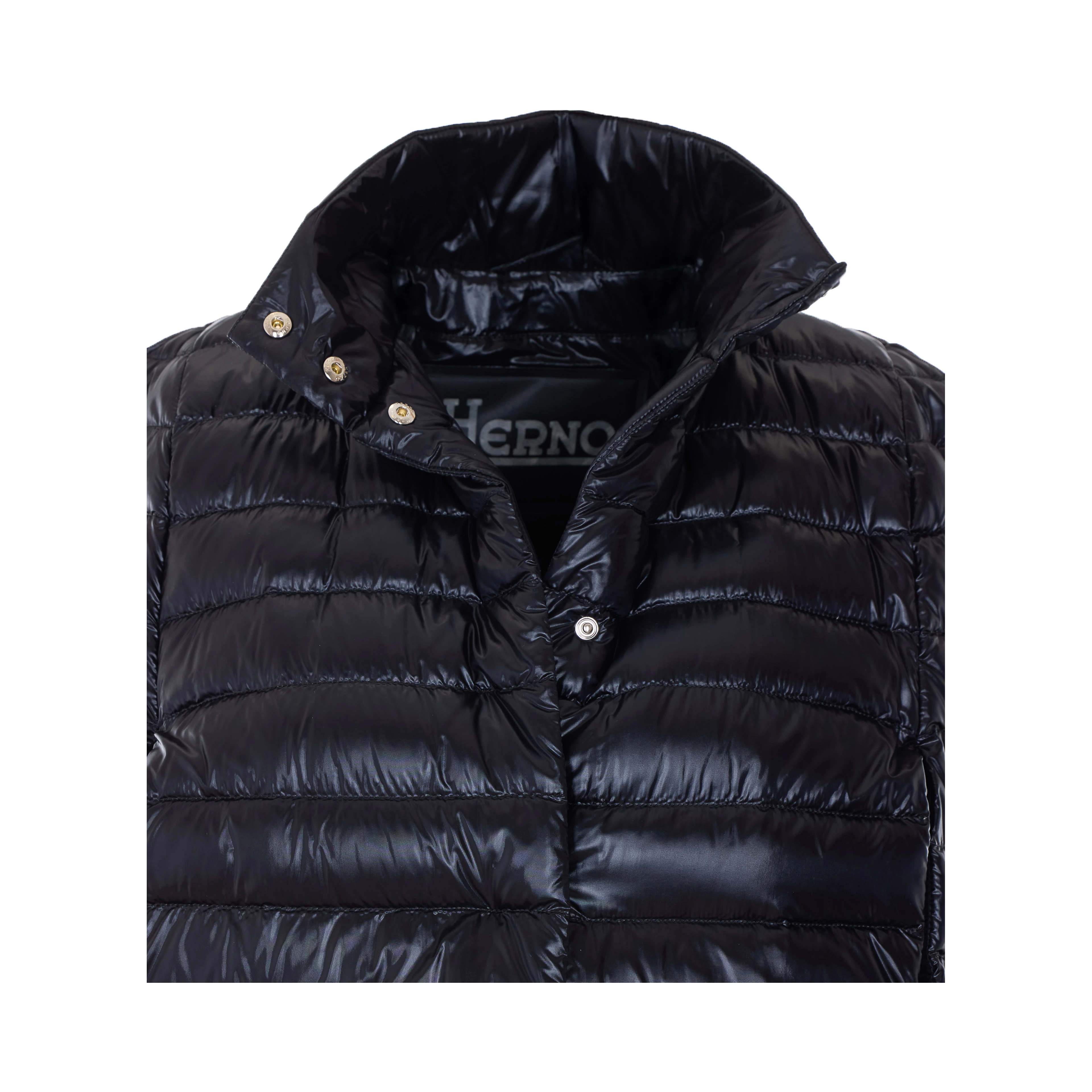 Herno Coats Black