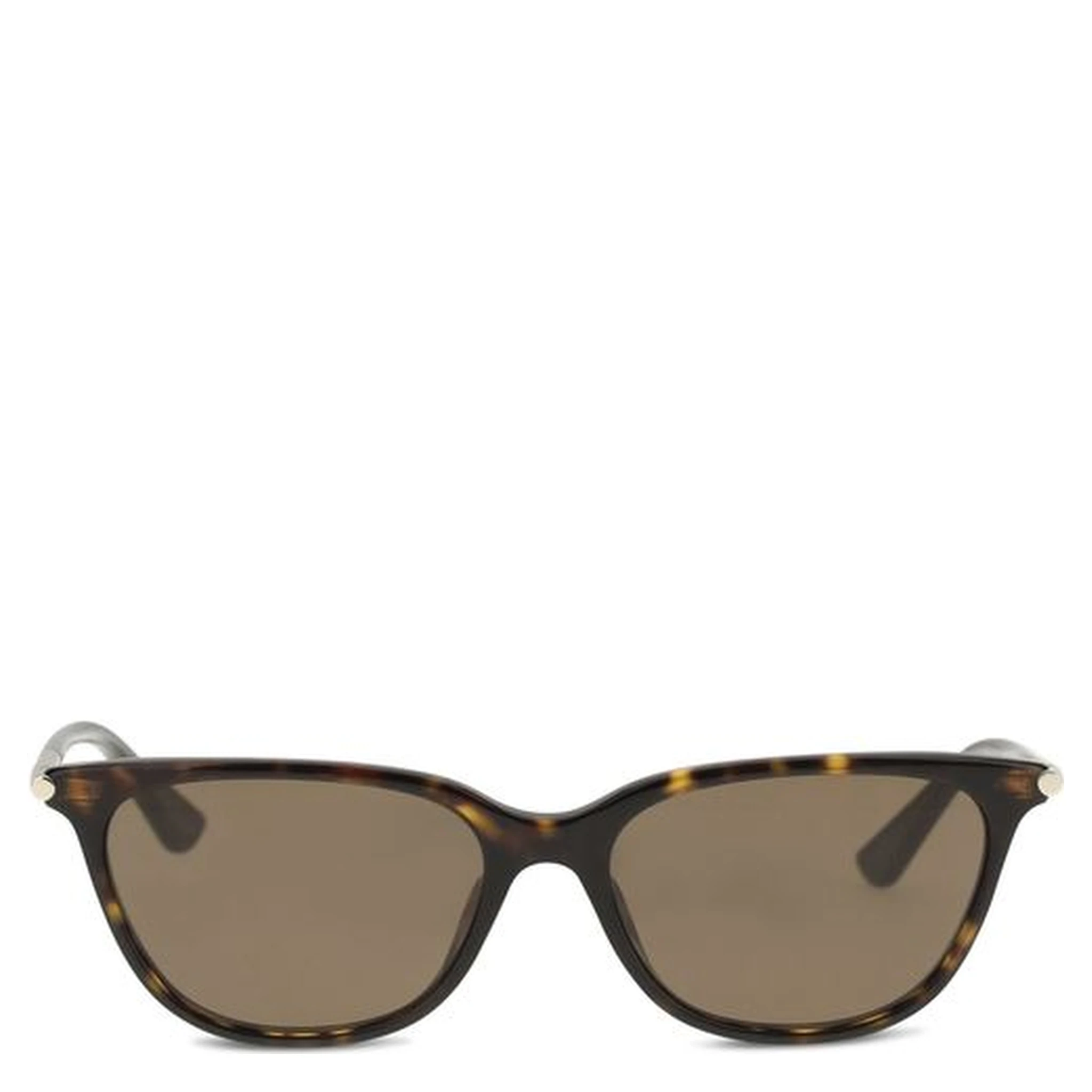 Brown Acetate Sunglasses