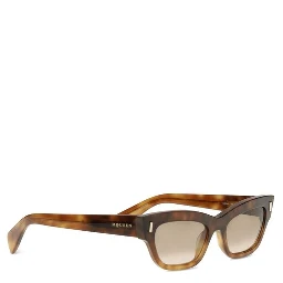 Brown Acetate Sunglasses