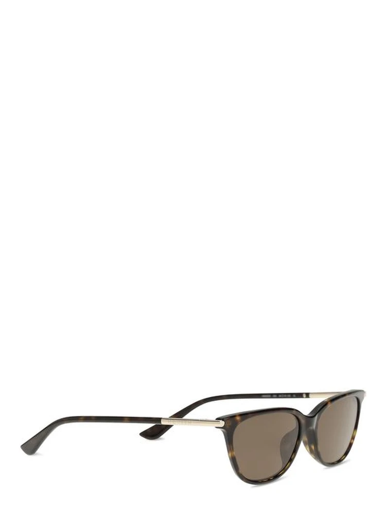 Brown Acetate Sunglasses alternative