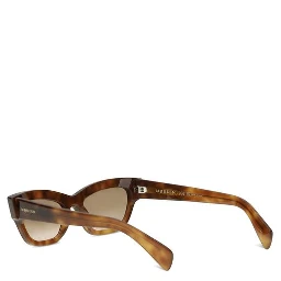 Brown Acetate Sunglasses