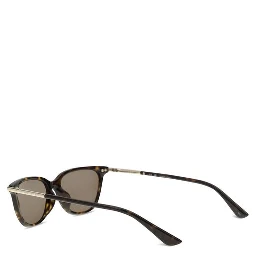 Brown Acetate Sunglasses