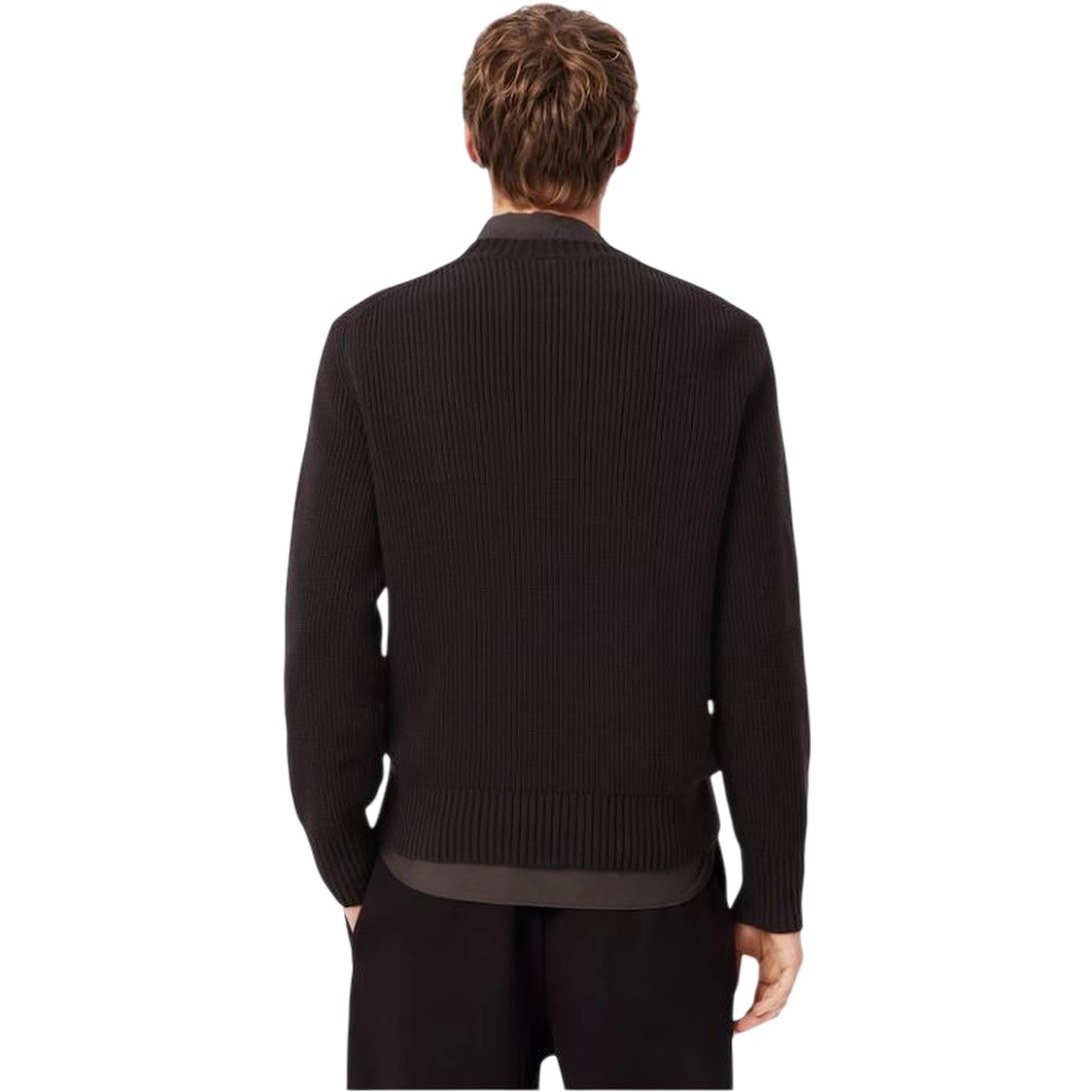 Lacoste Sweaters Brown