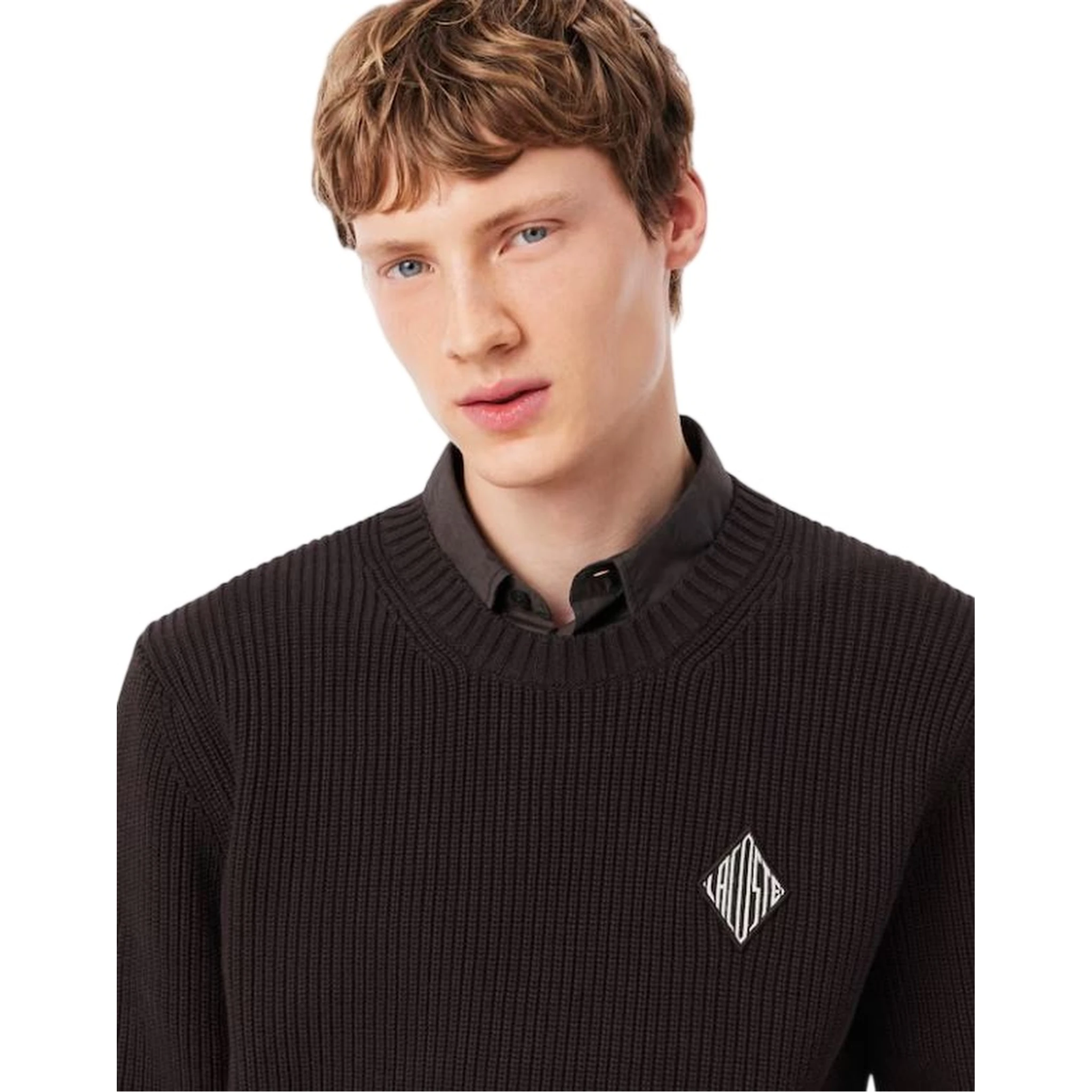 Lacoste Sweaters Brown