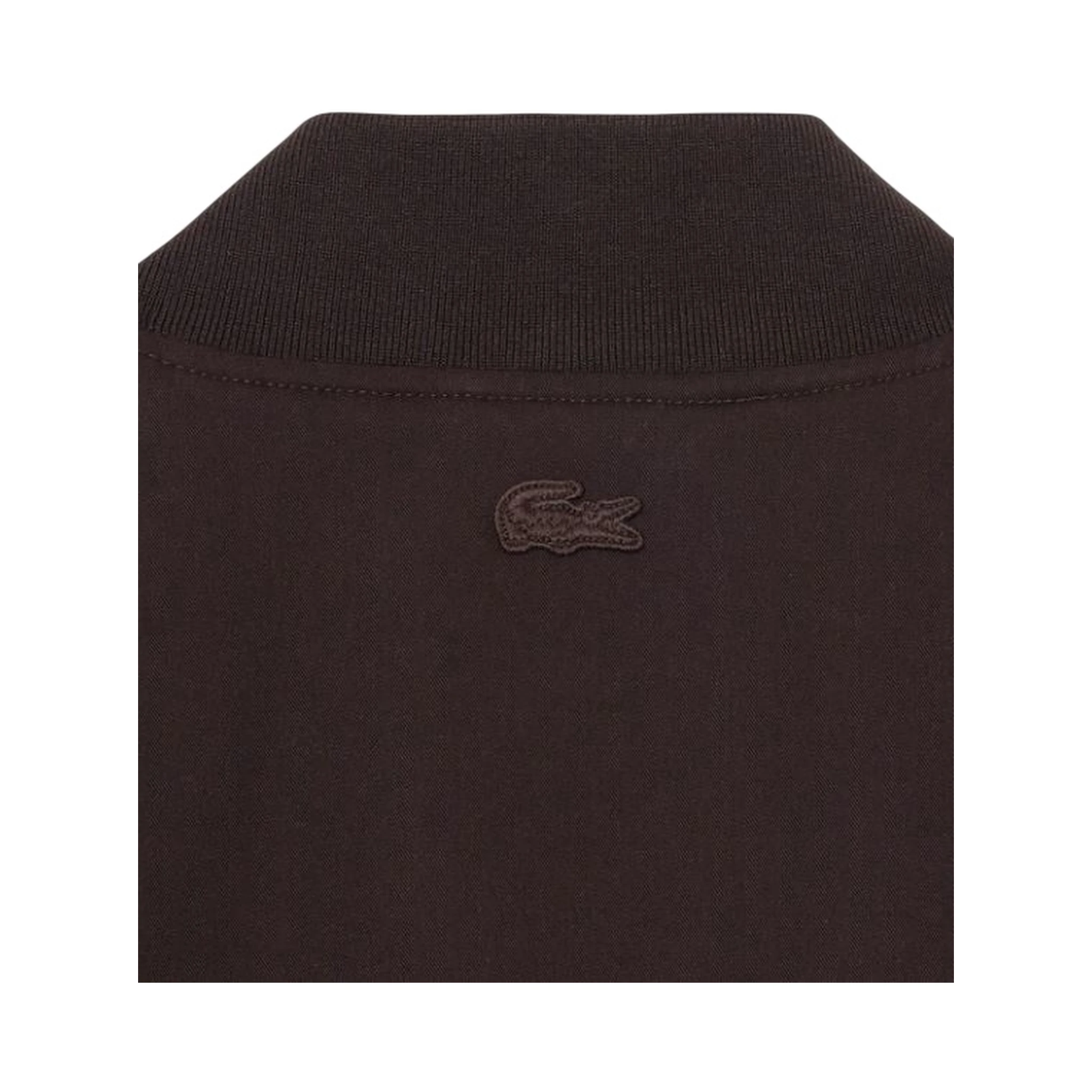 Lacoste Sweaters Brown