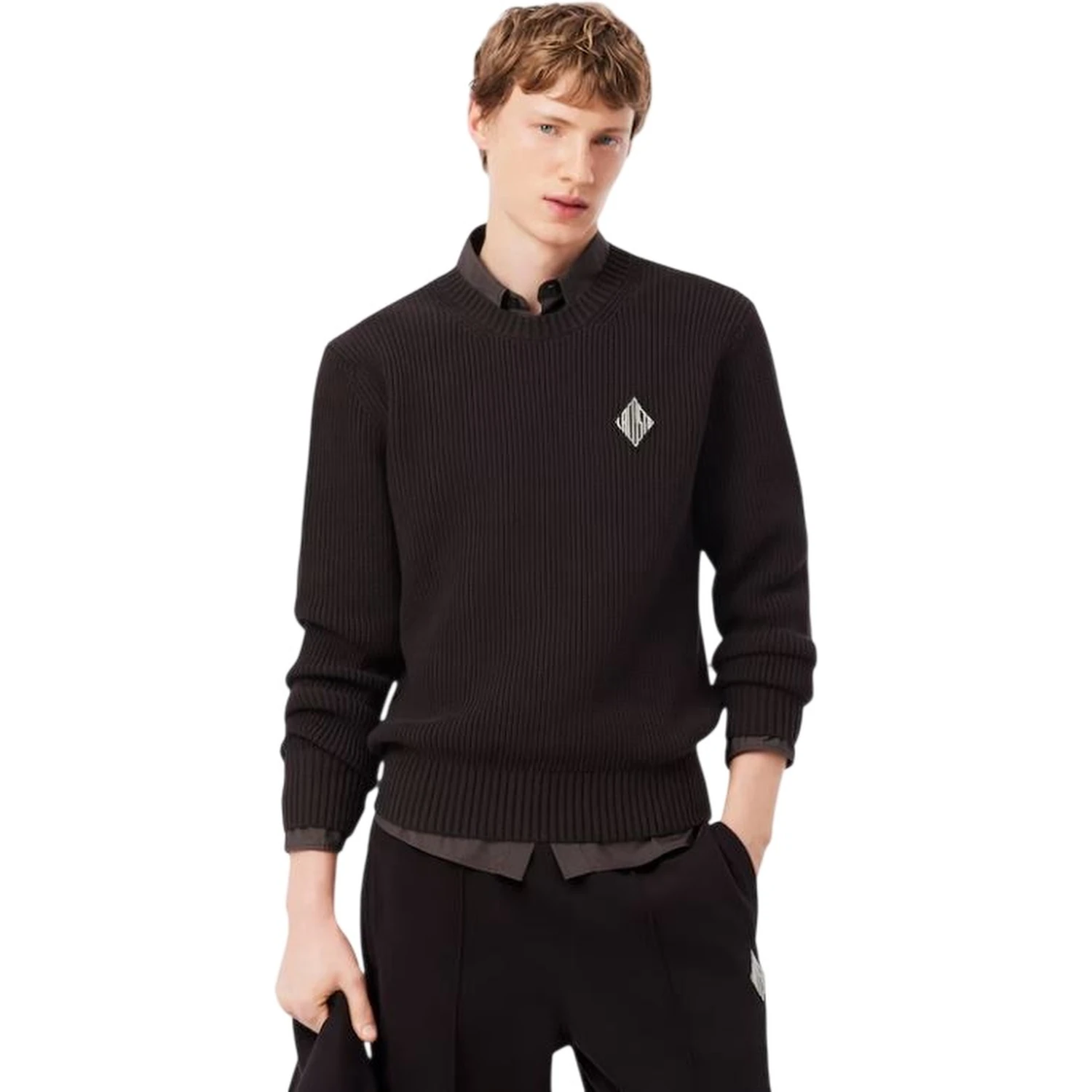 Lacoste Sweaters Brown