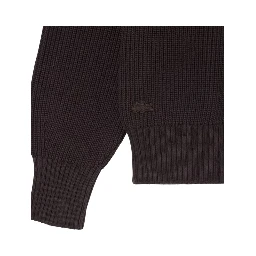 Lacoste Sweaters Brown