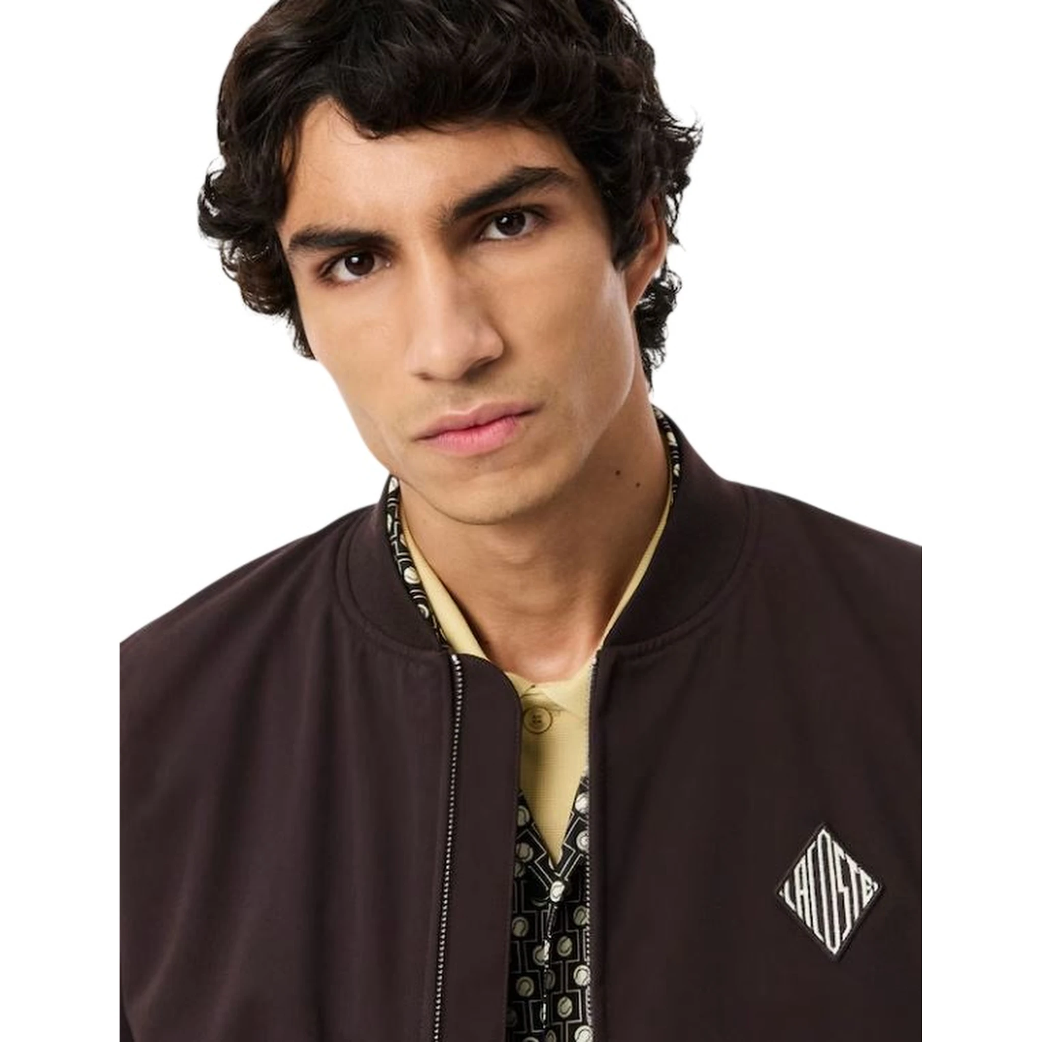 Lacoste Sweaters Brown