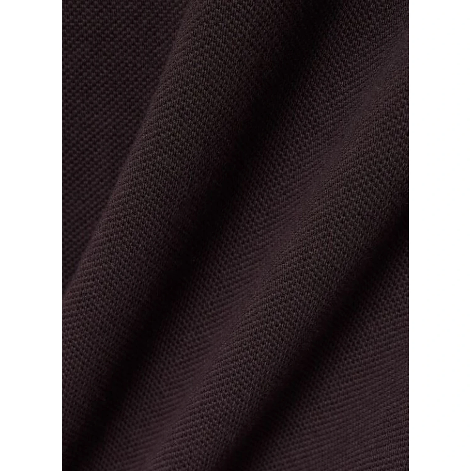 Lacoste T-shirts and Polos Brown