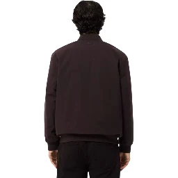 Lacoste Sweaters Brown