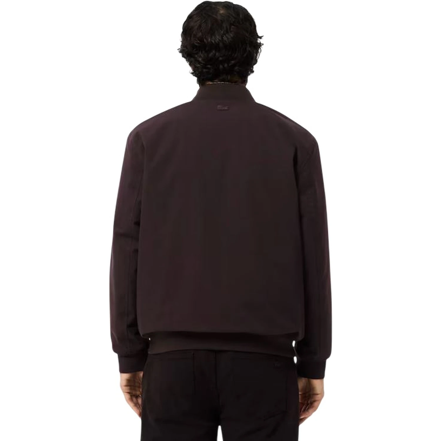 Lacoste Sweaters Brown