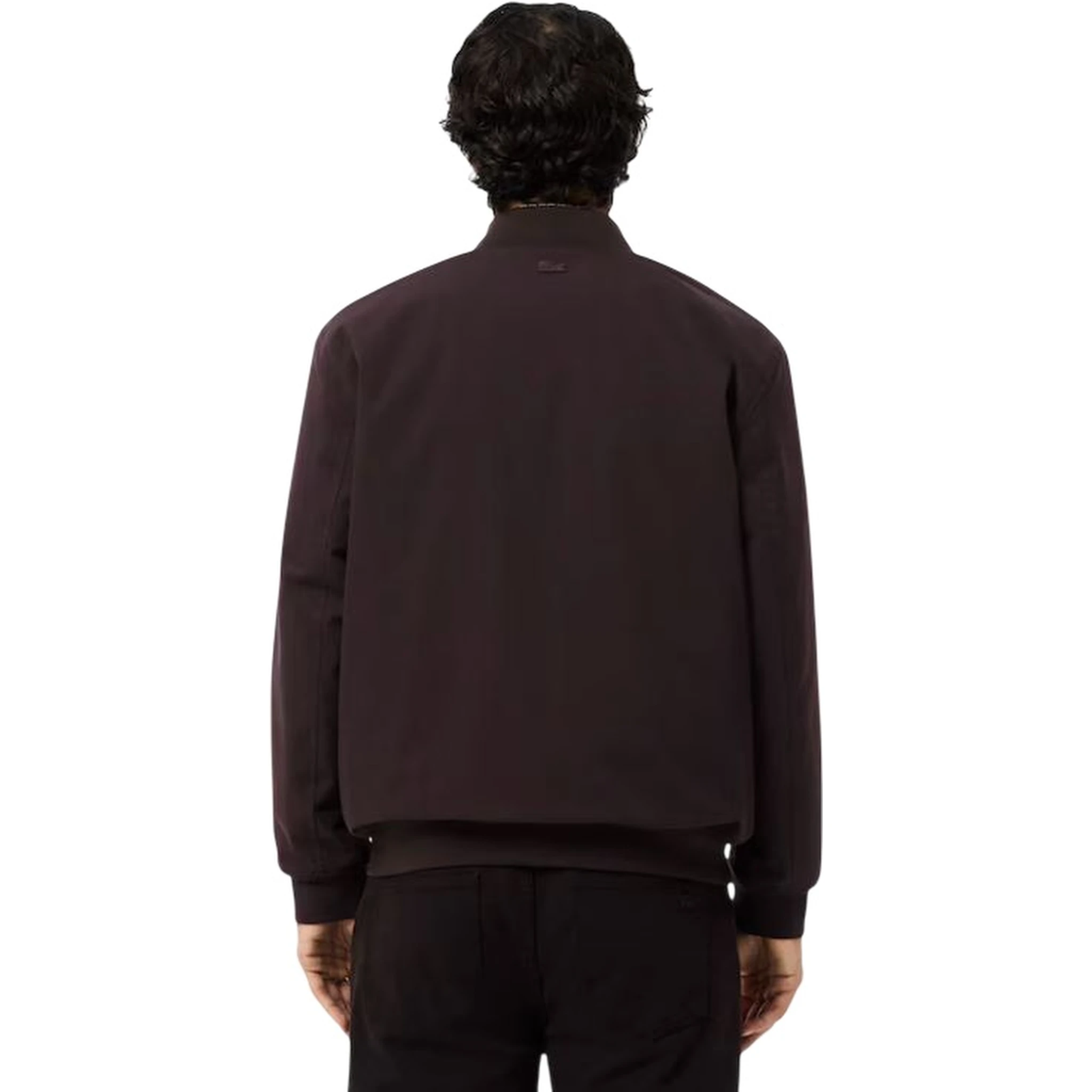 Lacoste Sweaters Brown