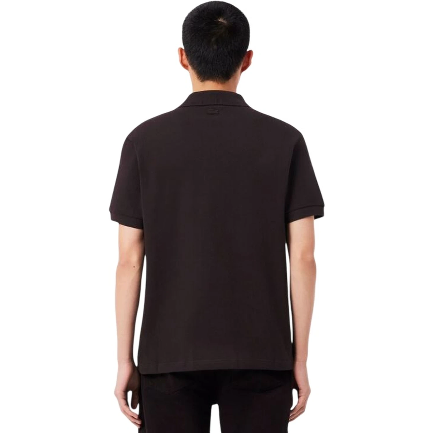 Lacoste T-shirts and Polos Brown